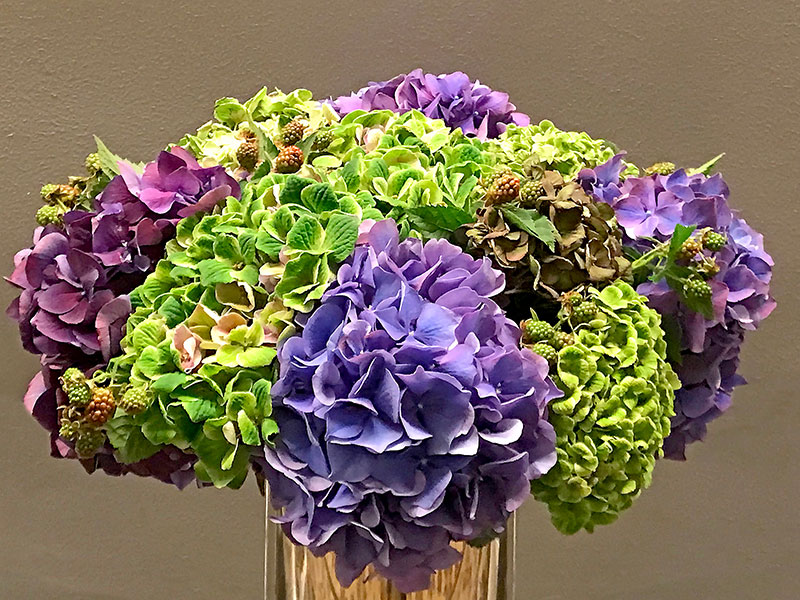 Vibrant green and mauve Hydrangeas, with sprigs of berries