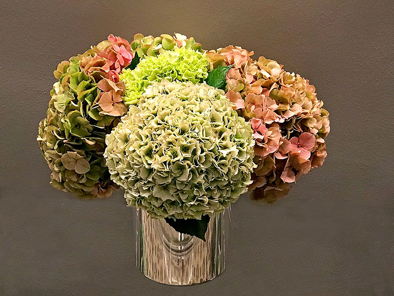 Blend of bright green with dusty pink and green Hydrangeas