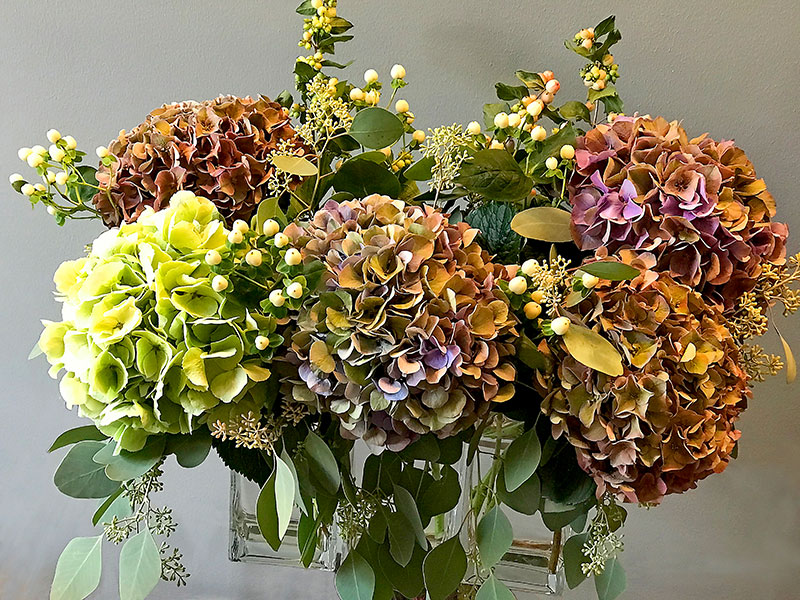 Hydrangeas of pale green, smoked blue and pink with foliage