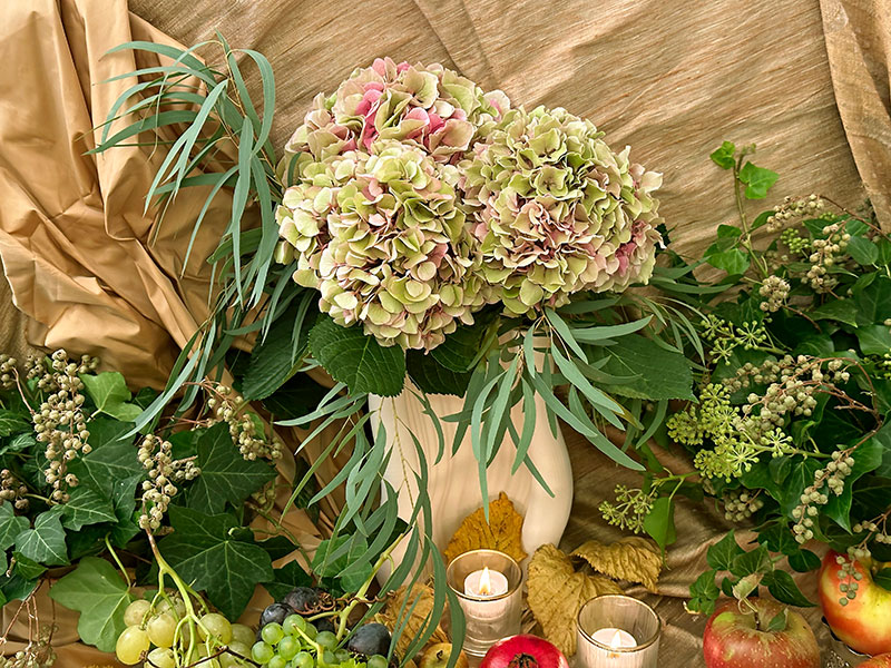 ample bouquet of smoky pastel hydrangeas ample bouquet of smoky pastel hydrangeas